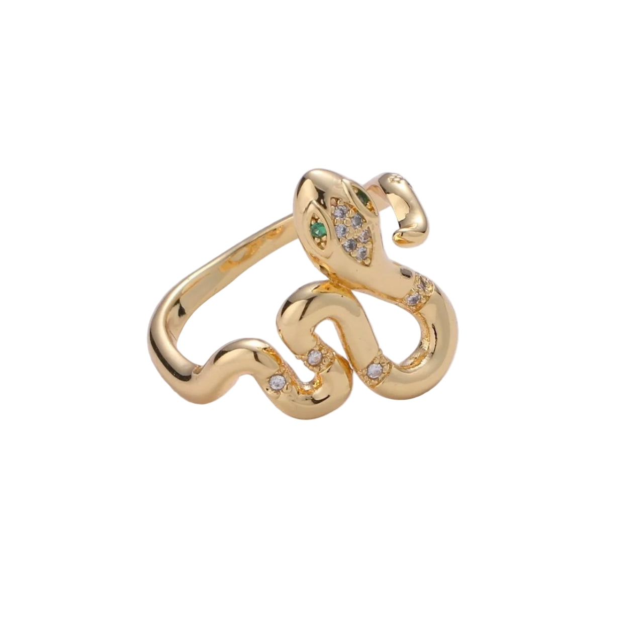Anillo de serpiente